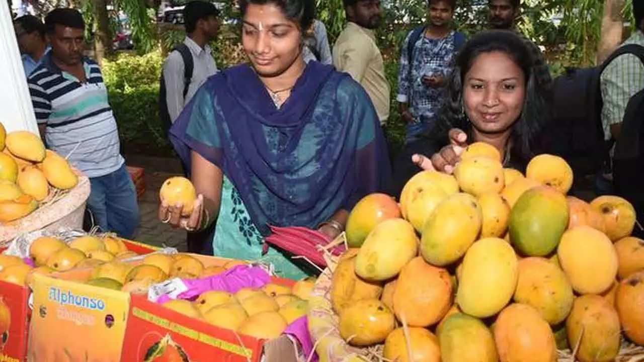Mangoes ripened with carbide can cause health problems and infertility