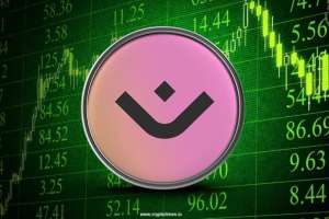 Mantra Coin (OM) Faces Recovery Challenge: Analyzing Market Impact and Future Outlook