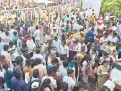 Massive crowd attends large job fair