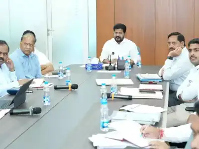 Musi River Rejuvenation Project: Revanth Government Plans Birds Paradise at Mir Alam Tank