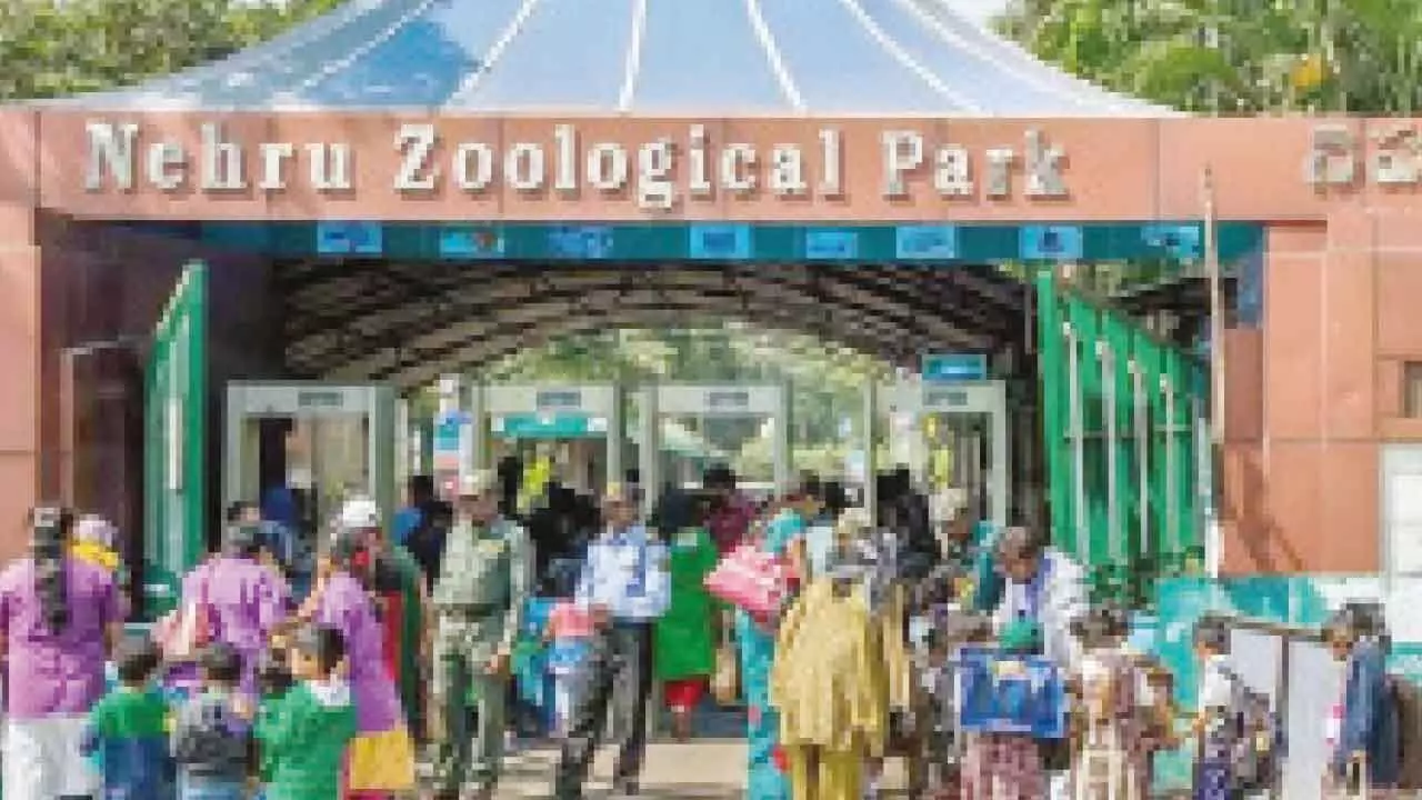 Nehru Zoo visitors upset over ticketing problems