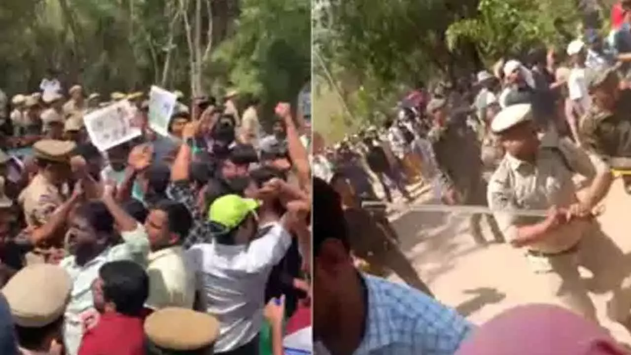 Online Users Unite to Protest Government Land Auction