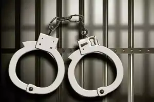 Rachakonda Police Conduct Raid at Wild Heart Pub in Chaitanyapuri, Hyderabad