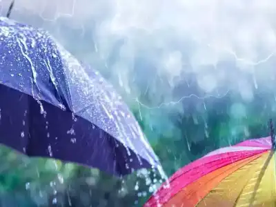 Rain and Thunderstorms Likely in Telugu States