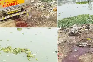 Residents sound alarm as two lakes struggle to survive