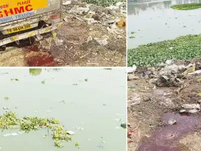 Residents sound alarm as two lakes struggle to survive
