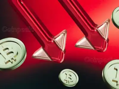 Solana, XRP, and Dogecoin Experience Significant Drops in Value: Are Your Altcoins Secure?