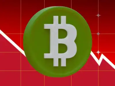 Stock Drops Across Crypto-Exposed Firms Follow Bitcoin Crash