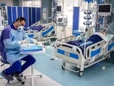 Telangana Government Plans to Improve and Rebrand Public Hospitals for Better Healthcare