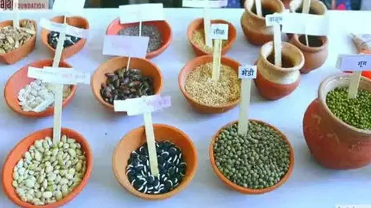 Telangana Seed Festival to be held for three days starting April 4