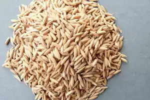 2,200 rice bags seized at Telangana-Andhra border