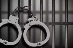 4 arrested for trying to sell fake tiger skin