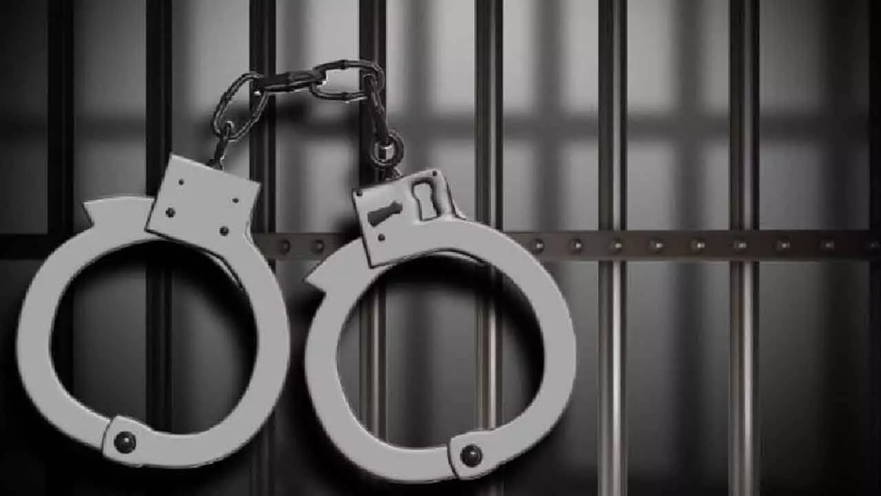 4 arrested for trying to sell fake tiger skin