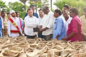 Big rise in rice buying this year: DC