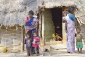 Chenchus to Get Homes Under Indiramma Indlu Scheme