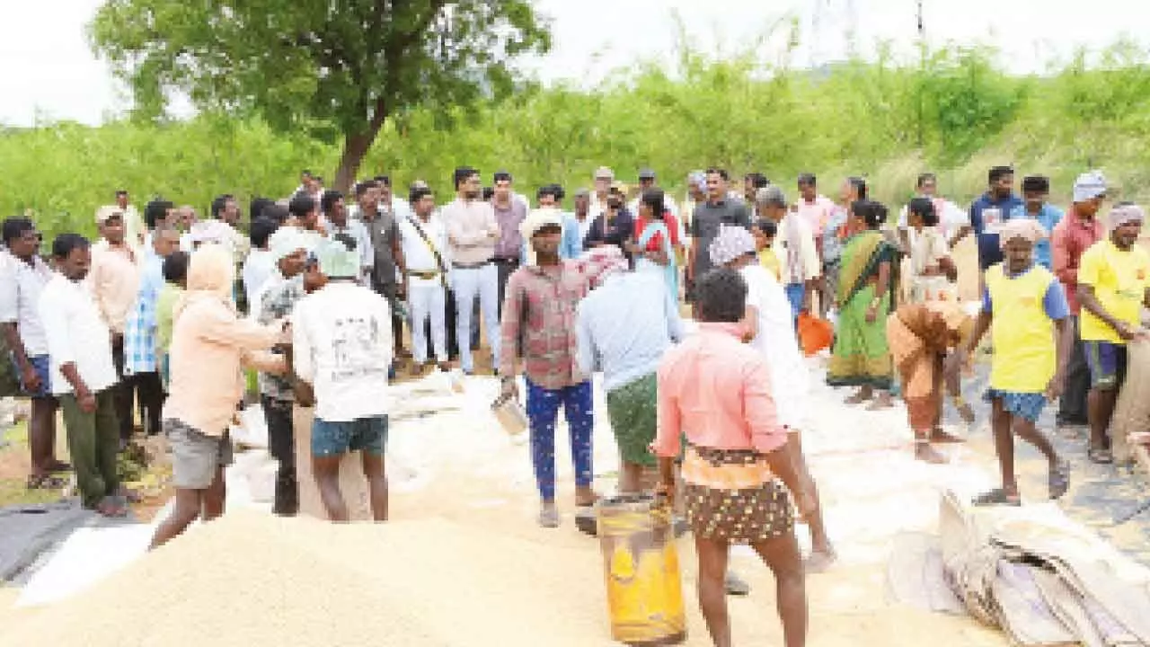 DC Adarsh Surabhi advises protecting paddy from rain