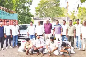 Fake cotton trade grows, hurting farmers financially