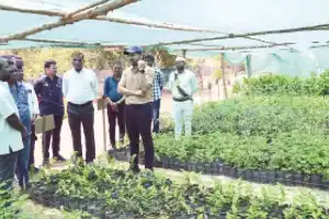 Focus on protecting green spaces