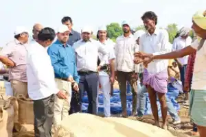 Government to buy paddy damaged by rain, says Collector