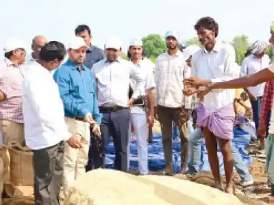 Government to buy paddy damaged by rain, says Collector