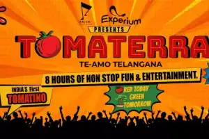 Guide to the Tomma Terra Festival