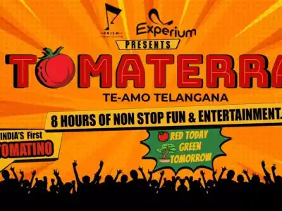 Guide to the Tomma Terra Festival