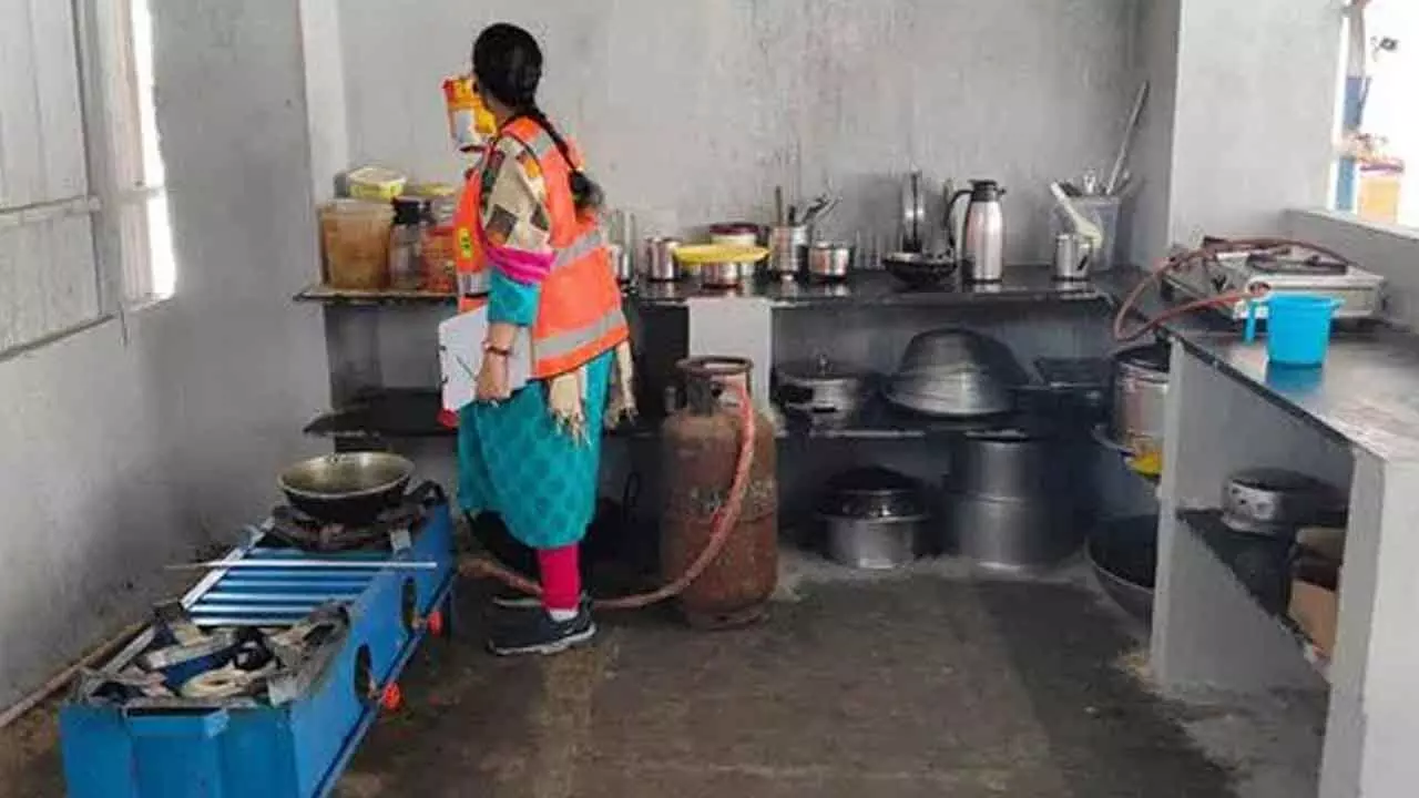 Hostels in trouble after kitchen safety violations found