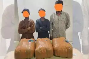Hyderabad: 3 arrested with 24 kg of ganja in Old City