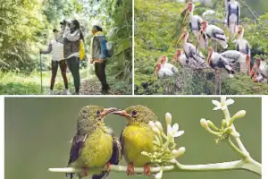 IIM Lucknow study finds birdwatching encourages eco-friendly behavior
