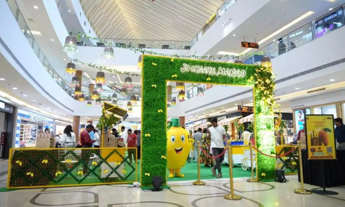 Inorbit Mall Cyberabad Hosts Summer Mango Festival