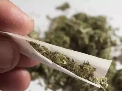 Migrant workers investigated over rise in ganja sales in MBNR
