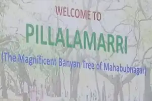 Miss World Contestants Explore Telangana’s Culture and Nature at Pillalamarri