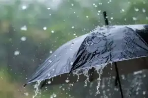 Moderate Rain Expected in Telangana, Warning Issued