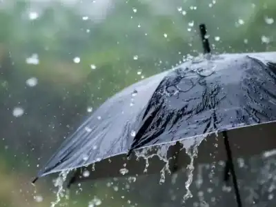 Moderate Rain Expected in Telangana, Warning Issued