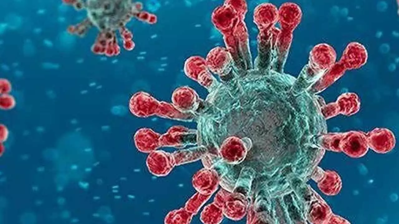 New Covid Variant Detected in City