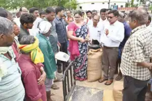 Official urges quick purchase of rice