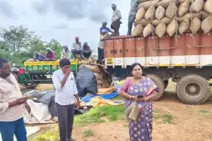 Paddy Buying Speeds Up Due to Early Rains Says Manager Vimala