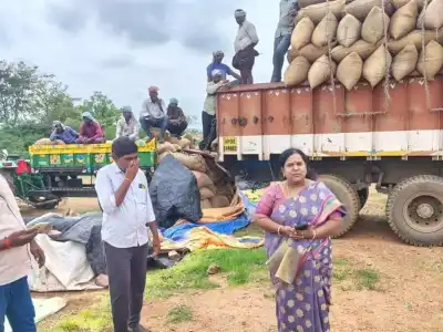 Paddy Buying Speeds Up Due to Early Rains Says Manager Vimala