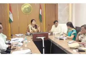 Quick action needed to develop forest areas
