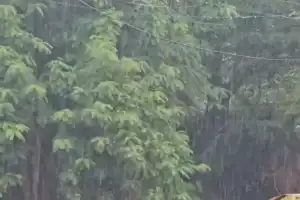 Rain brings relief to people in RR district