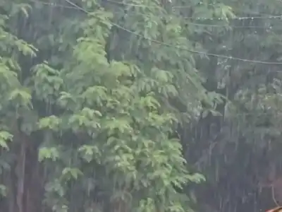 Rain brings relief to people in RR district