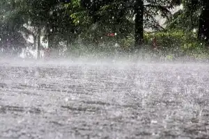 Rain expected in Andhra Pradesh and Telangana for next three days