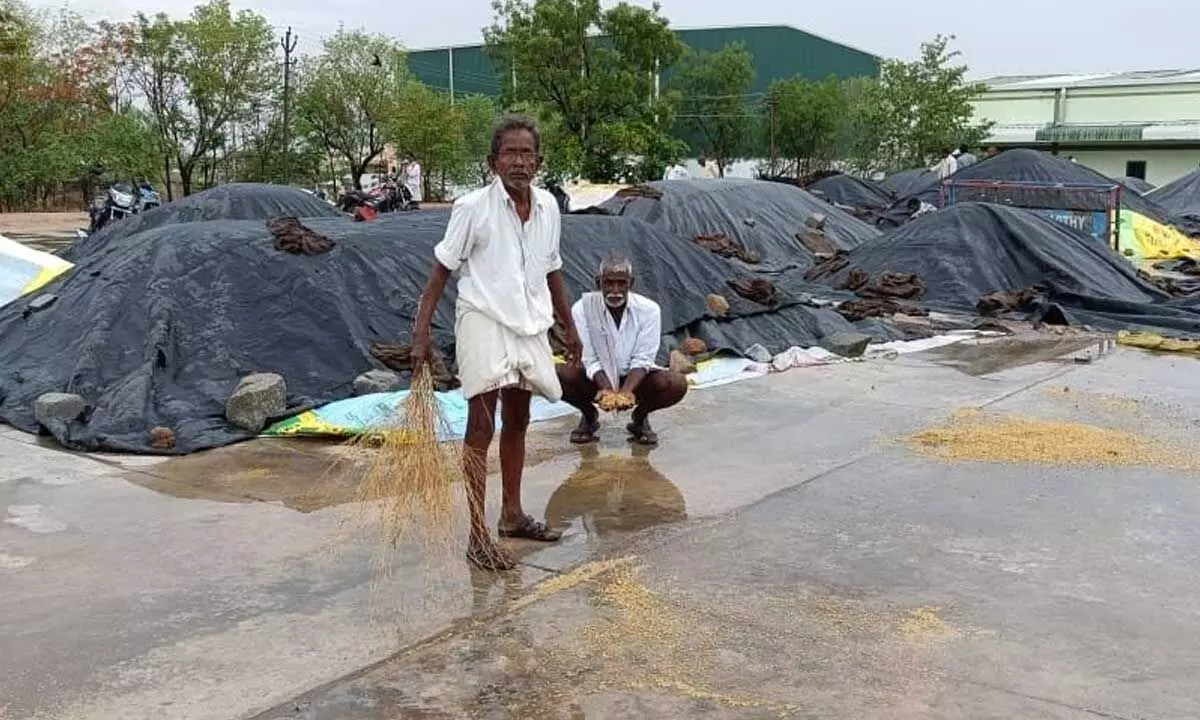 Rain Soaks Paddy at Buying Centres Again