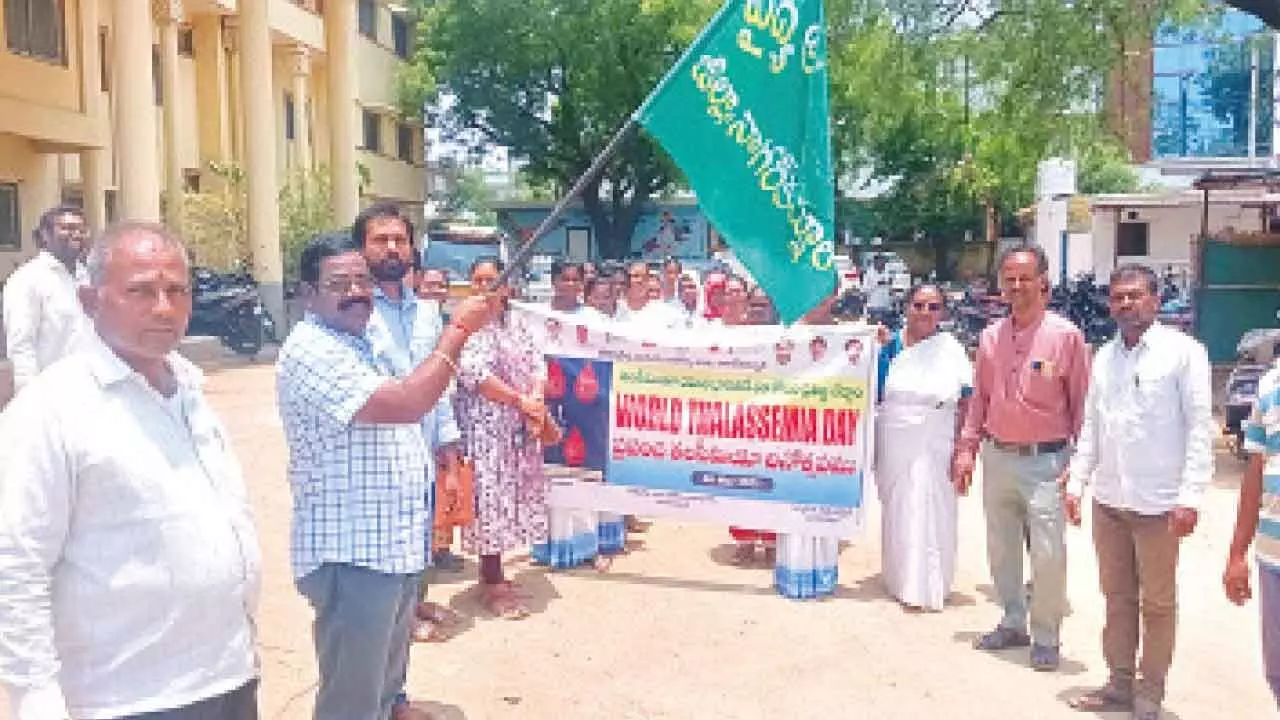 Rally held to raise awareness on World Thalassemia Day