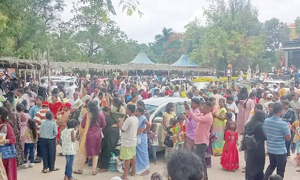 Record 24,000 People Visit Nehru Zoo Park on Sunday
