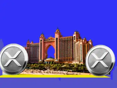 Ripple’s President Met with UAE Officials: What’s the Reason?