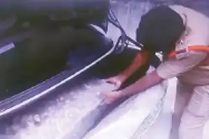 Temple worker caught trying to steal