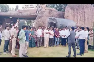TGFDC marks 10 years of forest growth and sustainability in the state