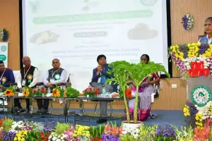Tuber crops can help ensure national food security