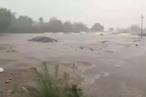 Unexpected Rains Ruin Yasangi Paddy in Mandoddi, Leaving Farmers in Distress